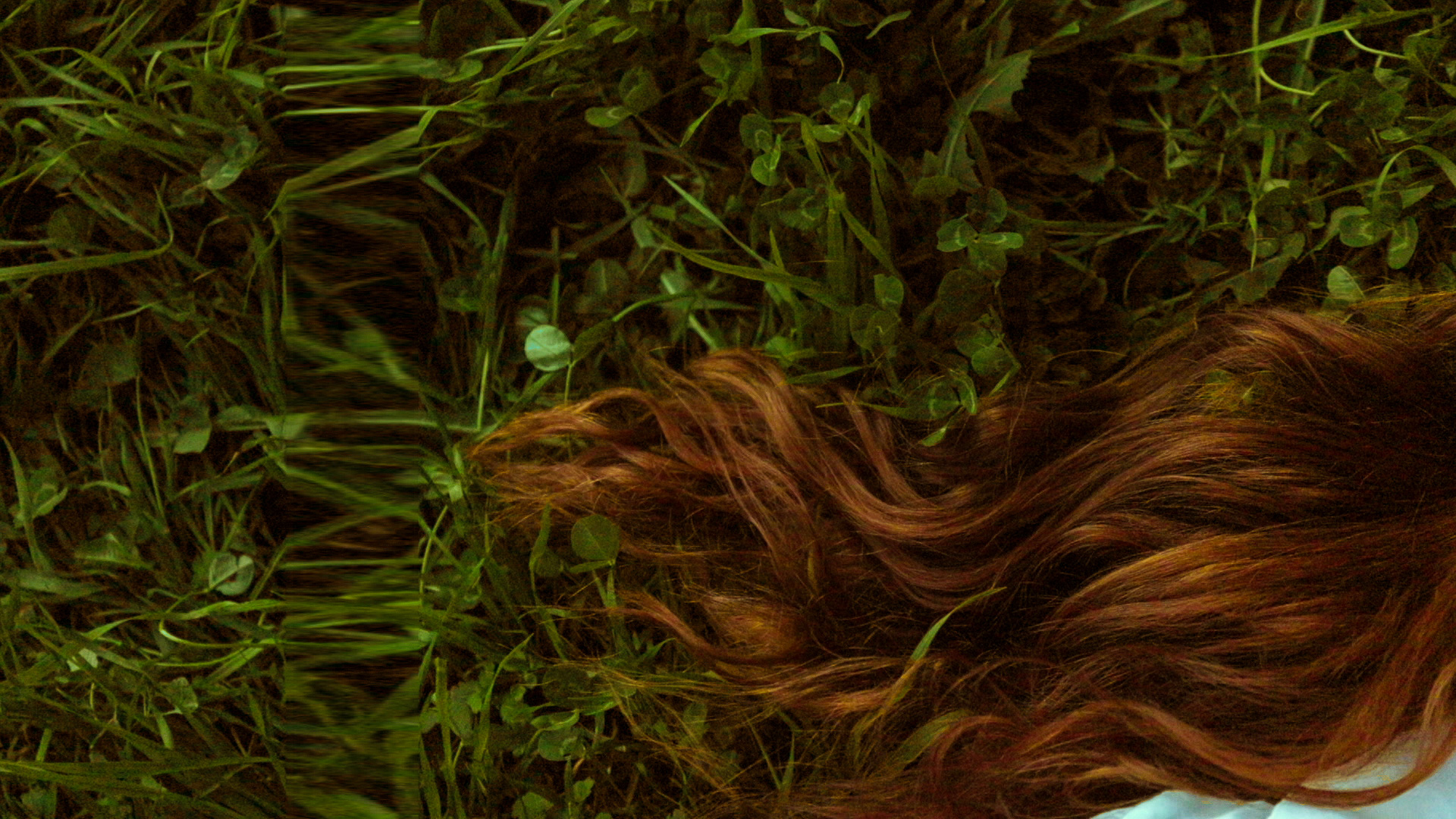 vlcsnap-2024-02-26-12h55m06s547